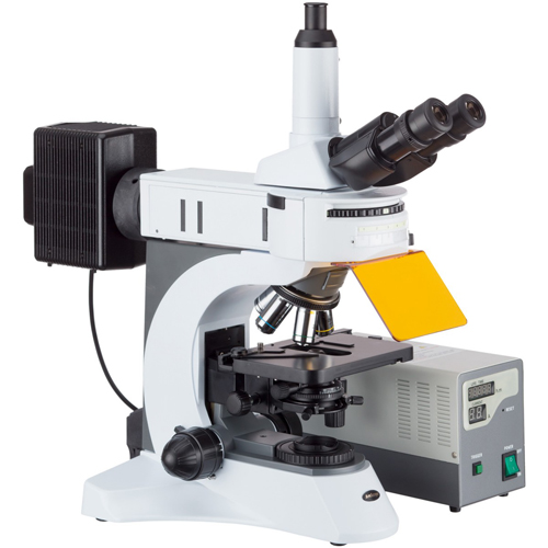 Catalyst Biotech CatScope Upright Fluorescence Microscopes