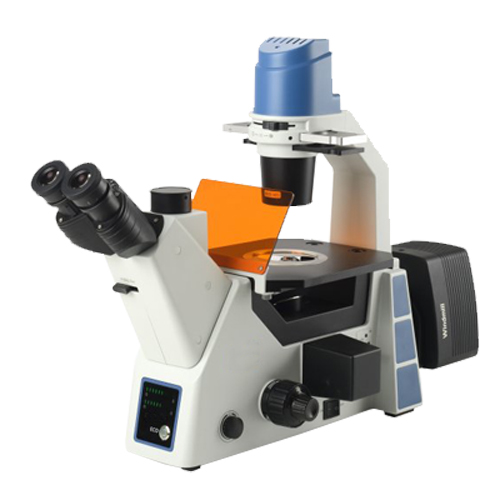 Catalyst Biotech CatScope Inverted Biological Fluorescence Microscopes